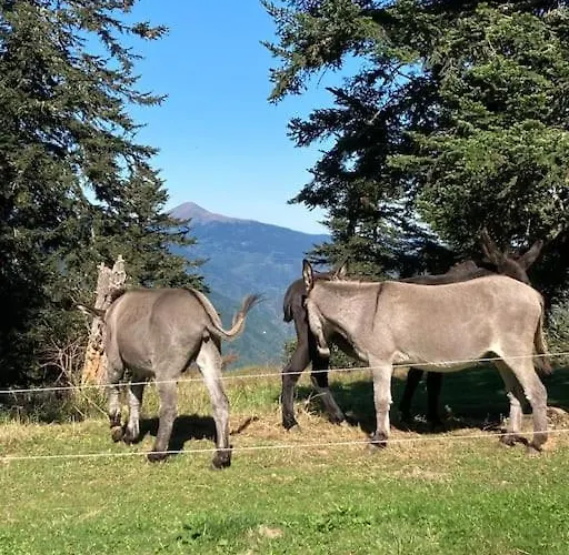 Apartamento Pieds Des Pistes - Cosy & Confort