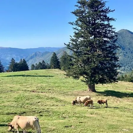 Pieds Des Pistes - Cosy & Confort 于斯图