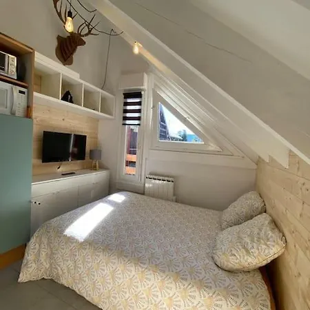 Pieds Des Pistes - Cosy & Confort 公寓 *