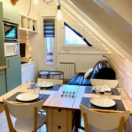 Pieds Des Pistes - Cosy & Confort 公寓 *