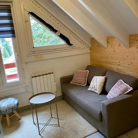 Pieds Des Pistes - Cosy & Confort 公寓